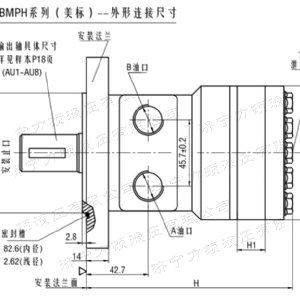 BM1系列（美標）馬達