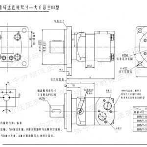 BMV大方系列馬達