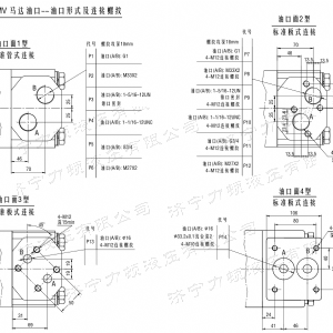 BMV車輪系列馬達