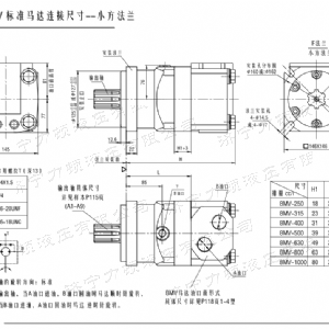 BMV標準小方系列馬達